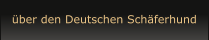über den Deutschen Schäferhund