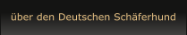 über den Deutschen Schäferhund