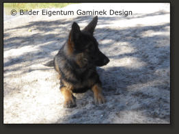 © Bilder Eigentum Gaminek Design